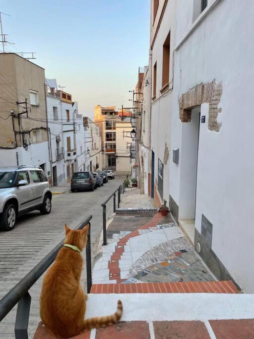 阿尔卡纳Townhouse - Casa Rustica Entre Mar Y Montana别墅 外观 照片